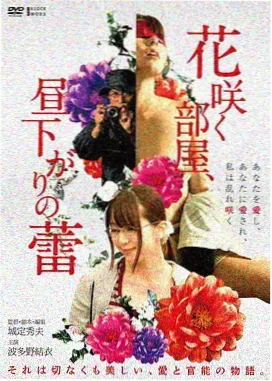 欧美电影雾港档案封面